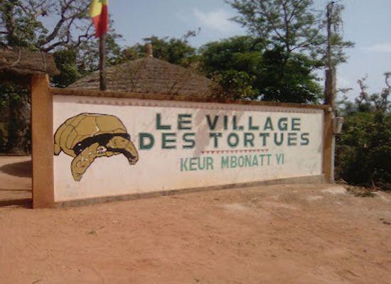 senegal/dakar-region/attraction/the-tortoise-village