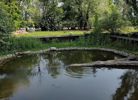 italy/friuli-venezia-giulia/attraction/nature-oasis-of-quadris