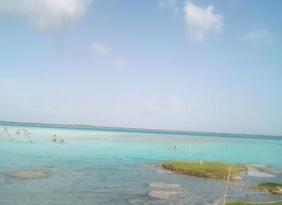 belize/corozal-town/attraction/cenote-azul