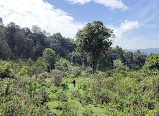 kenya/nyandarua-range/attraction/mount-kipipiri