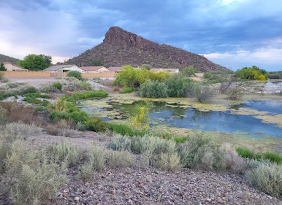 arizona/pinal-county/attraction/el-rio-preserve
