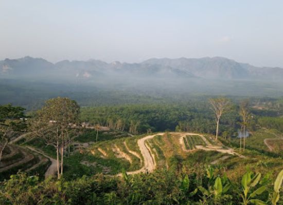thailand/trang/attraction/cultigo-by-witheetrang