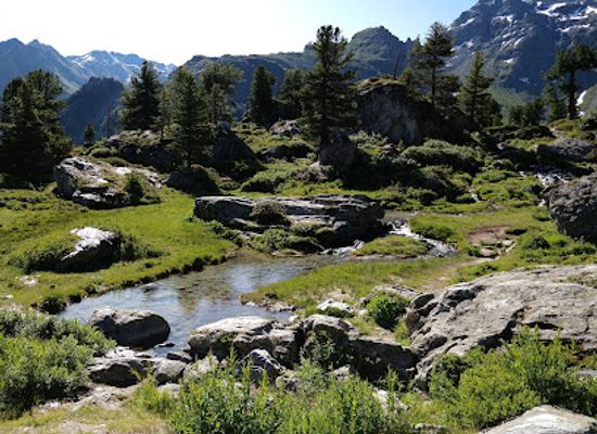 switzerland/valais/attraction/jardin-japonais