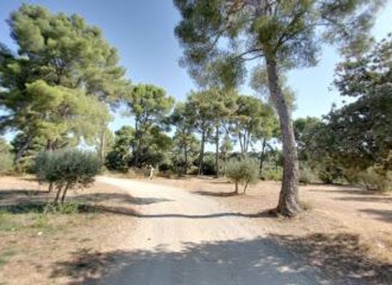 france/les-calanques-national-park/attraction/domaine-de-l-olivette