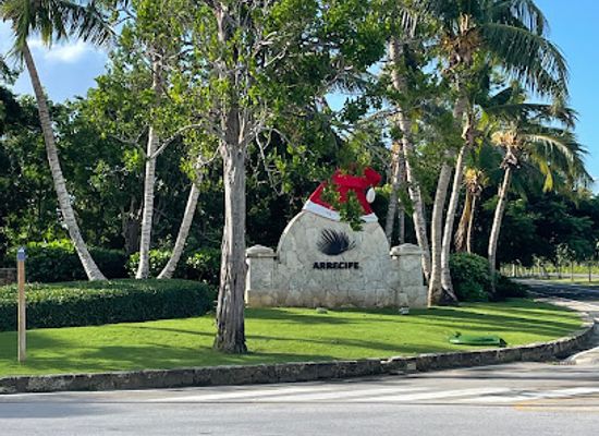 dominican-republic/punta-cana/attraction/playa-blanca-beach