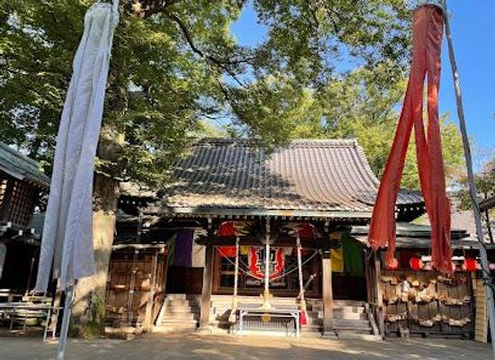 japan/tokyo/attraction/todoroki-fudoson-temple