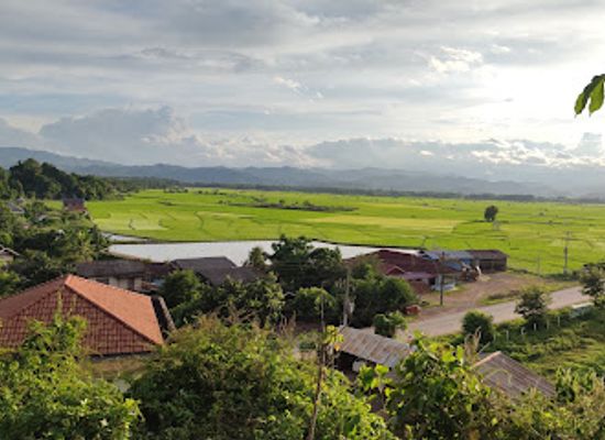 laos/phongsaly-province/attraction/rice-fields