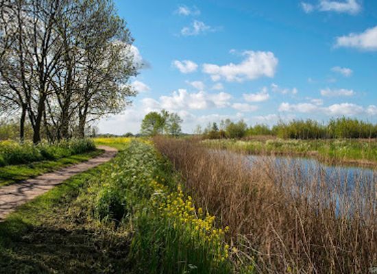 netherlands/delfland/attraction/abtswoudse-bos