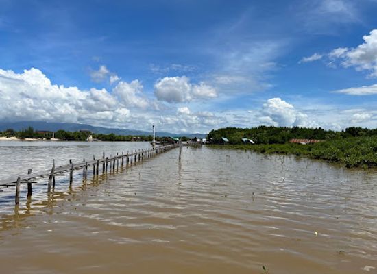 cambodia/kep-province/attraction/trapeang-sangkae-mangrove-forest