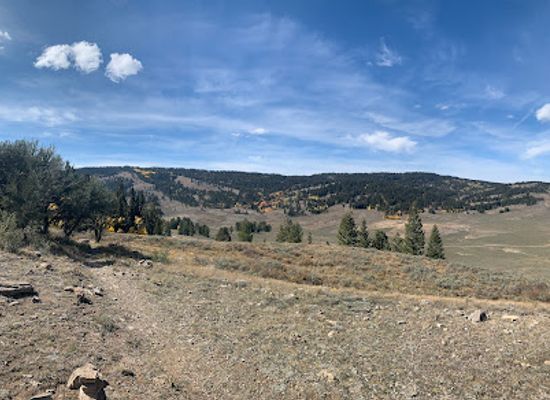 utah/bear-lake/attraction/limber-pine-nature-trail