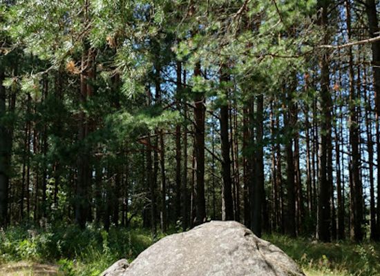 lithuania/aukstaitija-national-park/attraction/kraujeliu-akmuo