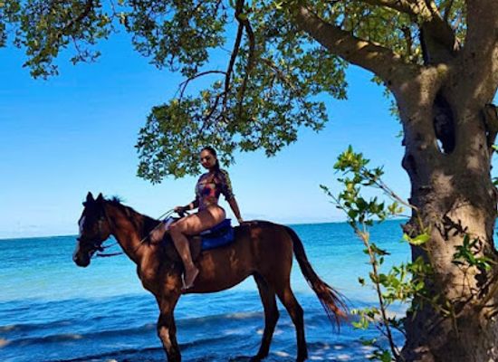 jamaica/north-coast/attraction/unique-tours-jamaica
