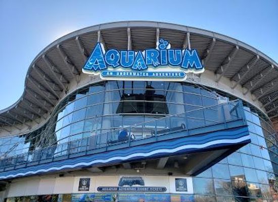 colorado/boulder/attraction/downtown-aquarium