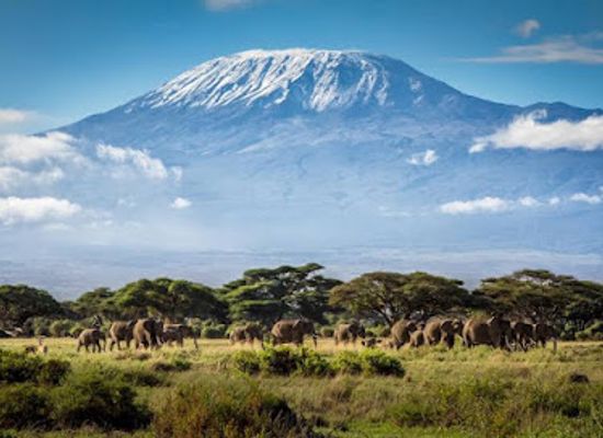 kenya/kilimanjaro-region/attraction/mt-kilimanjaro