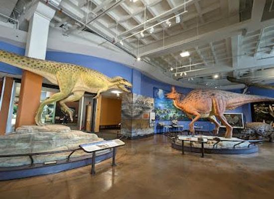 mexico/tijuana/attraction/san-diego-natural-history-museum