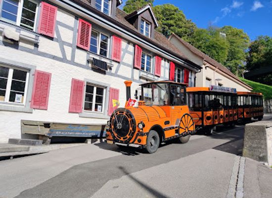 switzerland/schaffhausen/attraction/rhyfall-express
