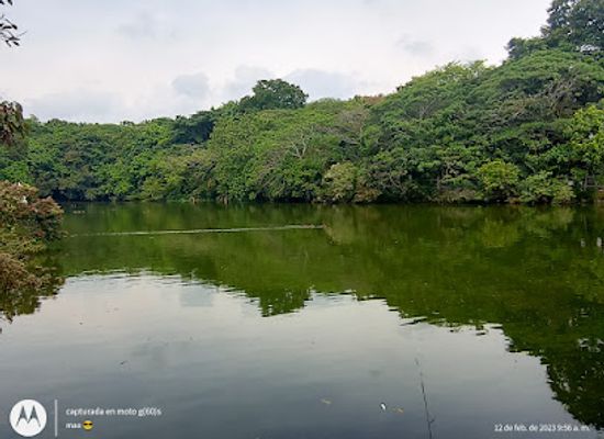 colombia/cauca-valley/attraction/eco-park-lake-las-garzas