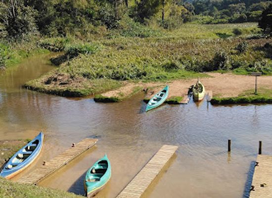madagascar/diego-suarez/ramena-beach/attraction/andasibe-mantadia-national-park