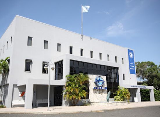 florida/sarasota-beaches/attraction/mote-marine-laboratory-aquarium