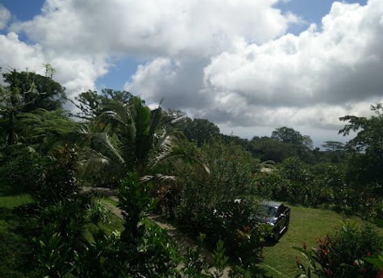 samoa/tuamasaga/attraction/tiapapata-art-centre