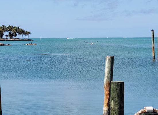 florida/marathon-key/attraction/turtle-hospital