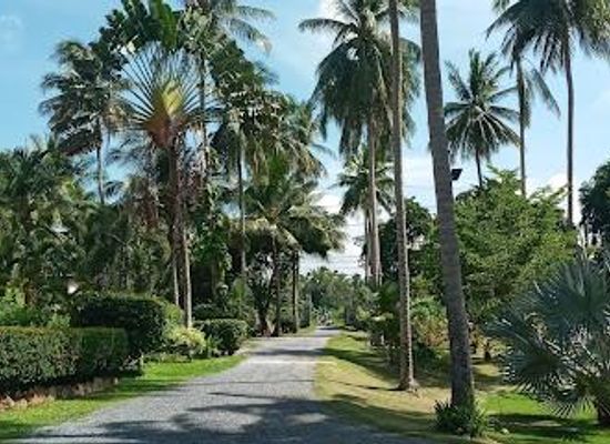 thailand/koh-samui/attraction/la-rhumerie-de-koh-samui