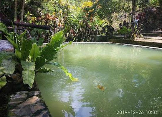 indonesia/bali/attraction/air-panas-angseri