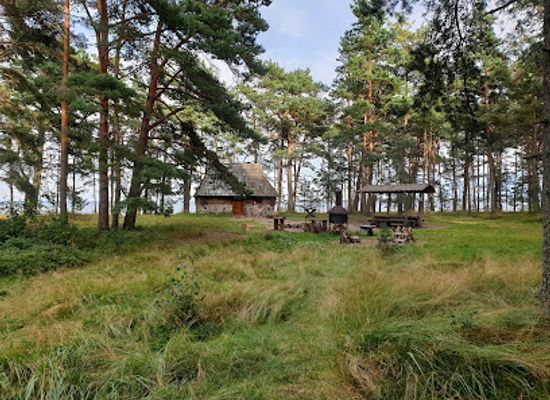 estonia/lahemaa/attraction/pedassaare-loodusrada