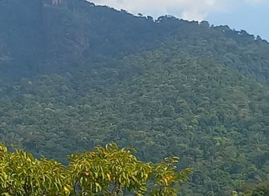 guyana/upper-takutu-upper-essequibo/attraction/kumu