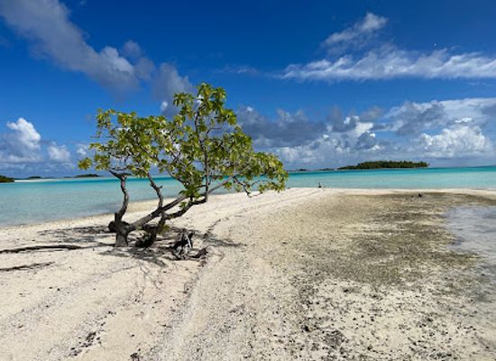 french-polynesia/rangiroa/attraction/tevaiti-tours-rangiroa