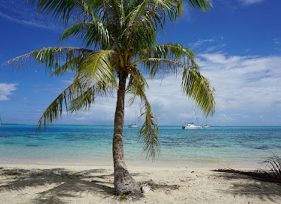 french-polynesia/windward-islands/attraction/belvedere-lookout