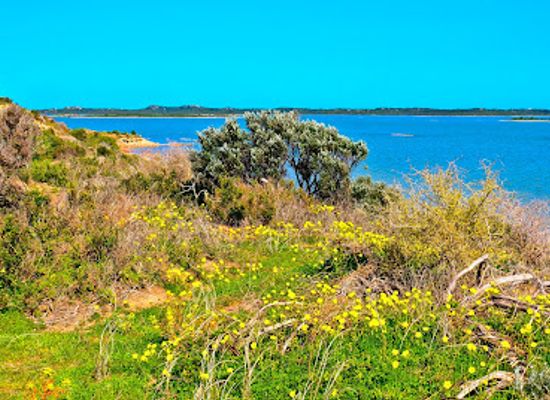 australia/coorong/attraction/jack-point-observatory-deck