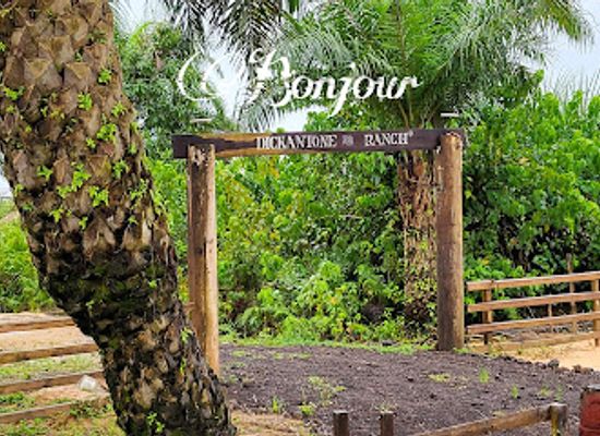 cameroon/limbe-beach/attraction/dickantone-ranch