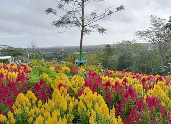 philippines/western-visayas/attraction/rpl-hilltops