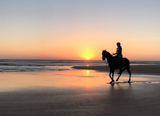 morocco/essaouira-region/attraction/cheval-essaouira