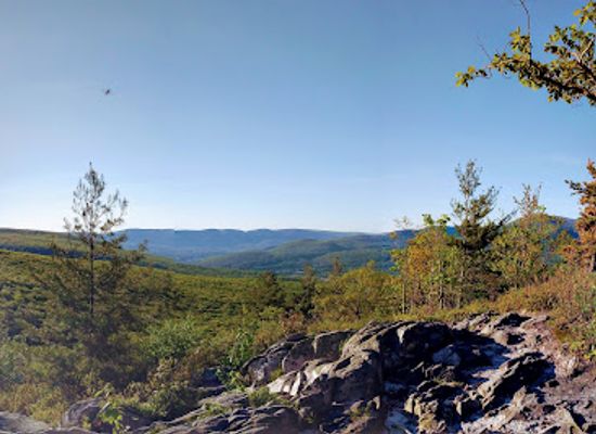 massachusetts/mount-greylock-state-reservation/attraction/pine-cobble-summit
