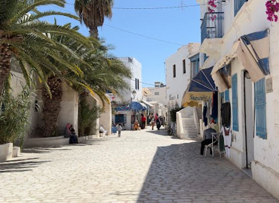 tunisia/djerba/attraction/tourguide