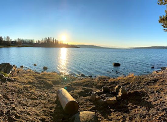 norway/hedmark/attraction/klatreparken-domkirkeodden
