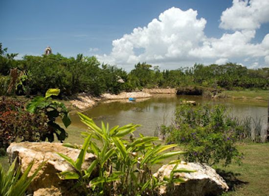 belize/vaca-plateau/attraction/bacab-eco-park