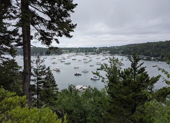 maine/mount-desert-island/attraction/thuya-garden