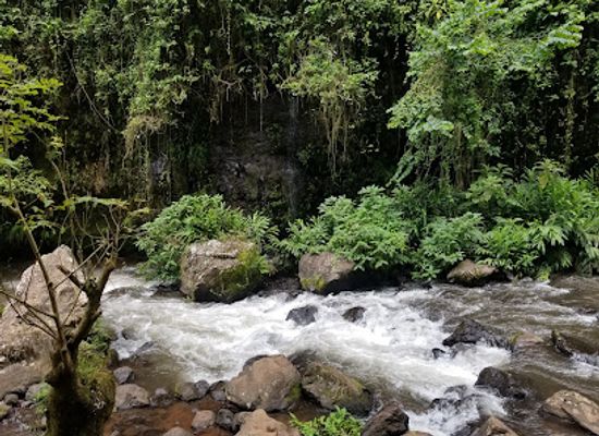 tanzania/moshi/attraction/kilasiya-water-falls