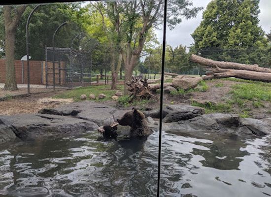 south-dakota/sioux-falls/falls-park/attraction/great-plains-zoo