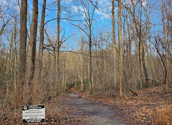 west-virginia/eastern-panhandle/attraction/three-saws-trailhead