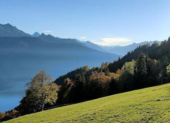 switzerland/grindelwald/attraction/beatenberg