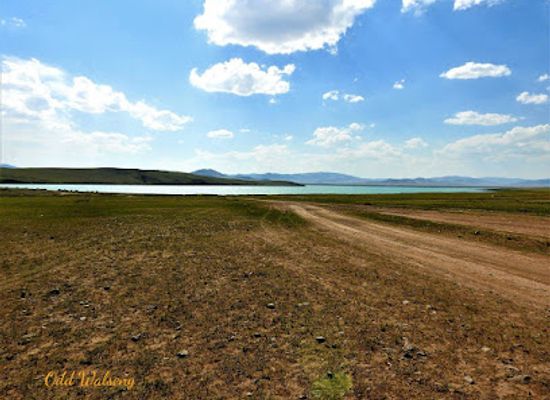 mongolia/eastern-steppe/attraction/sharga-lake