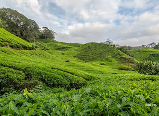 malaysia/pahang/attraction/best-view