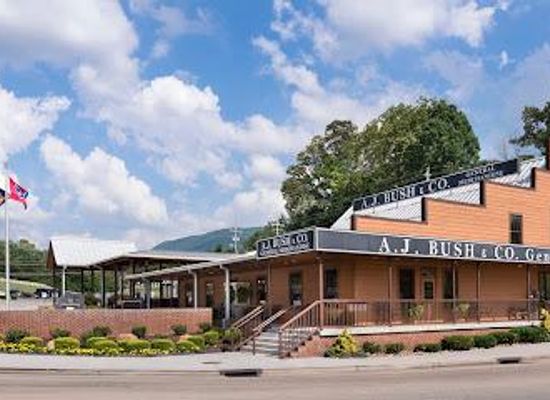 tennessee/dollywood/attraction/bush-s-visitor-center