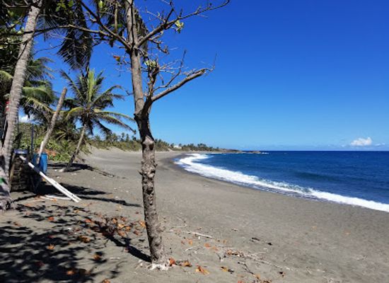 puerto-rico/vieques-island/attraction/puerto-las-vacas-beach