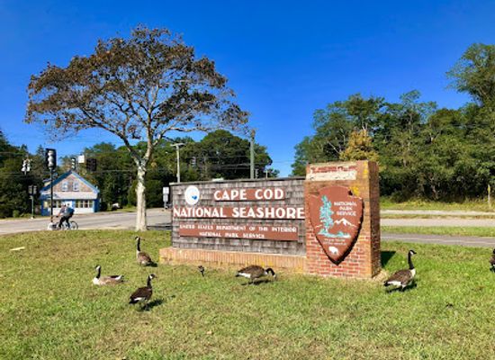 massachusetts/barnstable-county/attraction/cape-cod-national-seashore-salt-pond-visitor-center
