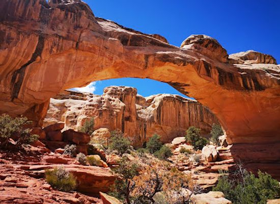utah/torrey/attraction/hickman-natural-bridge